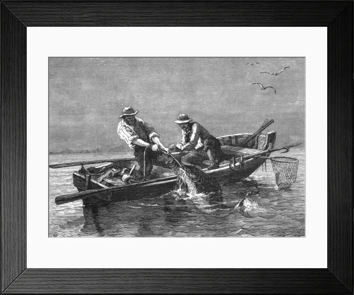 Framed Print : Hauling in a Drum-Fish; A Flying Visit to Florida, 1875. Creator: Thomas Mayne Reid Framed Print : Hauling in a Drum-Fish; A Flying Visit to Florida, 1875. Creator: Thomas Mayne Reid