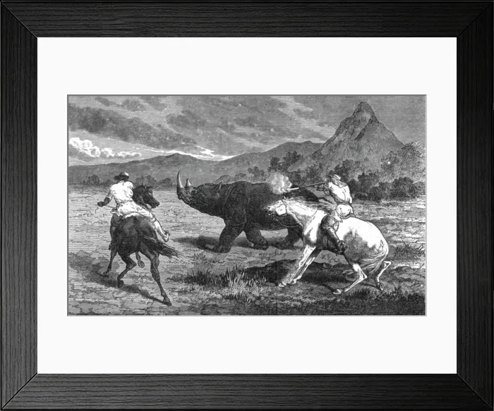 Framed Print : Shooting Rhinoceros; Life in a South African Colony, 1875. Creator: Unknown Framed Print : Shooting Rhinoceros; Life in a South African Colony, 1875. Creator: Unknown