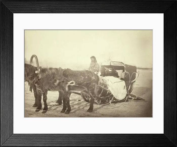 Framed Print : A Siberian posting sledge on a cold morning, between 1885 and 1886. Creator: George Albert Frost Framed Print : A Siberian posting sledge on a cold morning, between 1885 and 1886. Creator: George Albert Frost