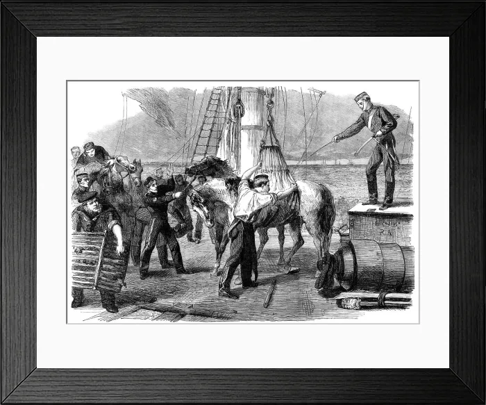 Framed Print : The Reinforcements for Canada: shipping horses on board the Calcutta at Woolwich by the... 1862. Creator: Unknown Framed Print : The Reinforcements for Canada: shipping horses on board the Calcutta at Woolwich by the... 1862. Creator: Unknown