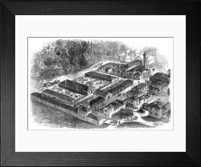 Framed Print : Birdseye view of the late Prince Consort's model farm at Windsor, 1862. Creator: Unknown Framed Print : Birdseye view of the late Prince Consort's model farm at Windsor, 1862. Creator: Unknown