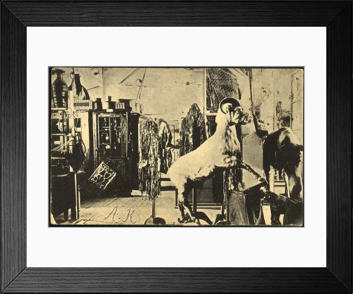 Framed Print : Iakutsk: Museum, 1904-1917. Creator: Unknown Framed Print : Iakutsk: Museum, 1904-1917. Creator: Unknown
