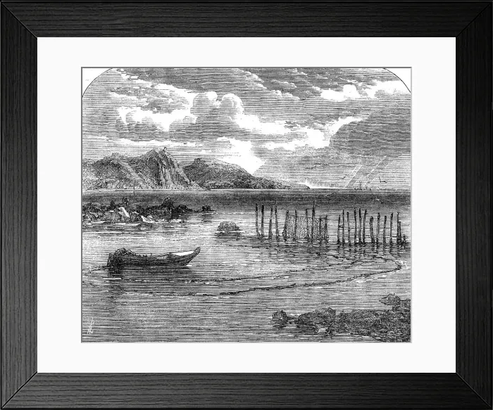 Framed Print : Salmon-fishing on the River Tay: the stake-net, 1862. Creator: Unknown Framed Print : Salmon-fishing on the River Tay: the stake-net, 1862. Creator: Unknown