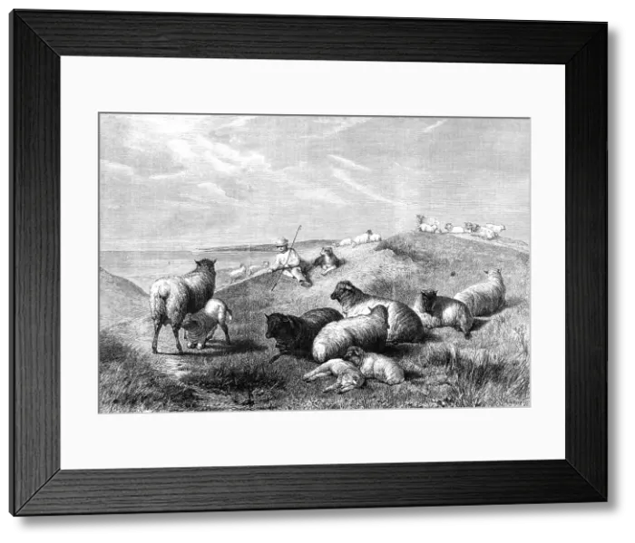 Framed Print : The Blessings of a Shepherd's Life by H. B. Willis, in the Gallery of the British... 1862. Creator: Mason Jackson. The Blessings of a Shepherd's Life by H. B. Willis, in the Gallery of the British... 1862. Creator: Mason Jackson Framed Print : The Blessings of a Shepherd's Life by H. B. Willis, in the Gallery of the British... 1862. Creator: Mason Jackson. The Blessings of a Shepherd's Life by H. B. Willis, in the Gallery of the British... 1862. Creator: Mason Jackson