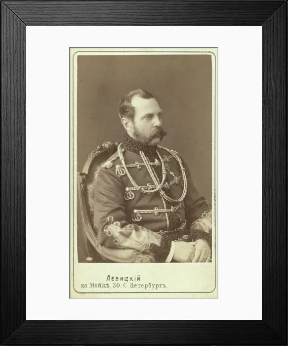 Framed Print : Alexander II, Emperor of Russia, half-length portrait, seated, facing right, between 1870 and 1886. Creator: Unknown Framed Print : Alexander II, Emperor of Russia, half-length portrait, seated, facing right, between 1870 and 1886. Creator: Unknown