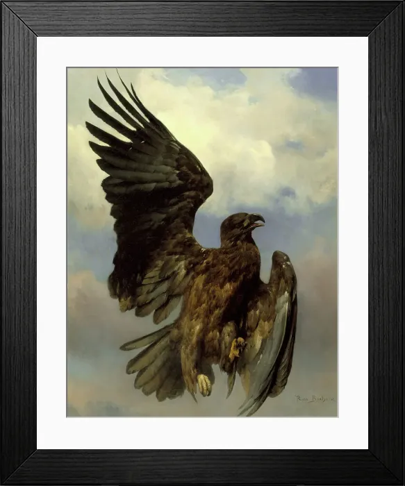 Framed Print : The Wounded Eagle, c1870. Creator: Rosa Bonheur Framed Print : The Wounded Eagle, c1870. Creator: Rosa Bonheur