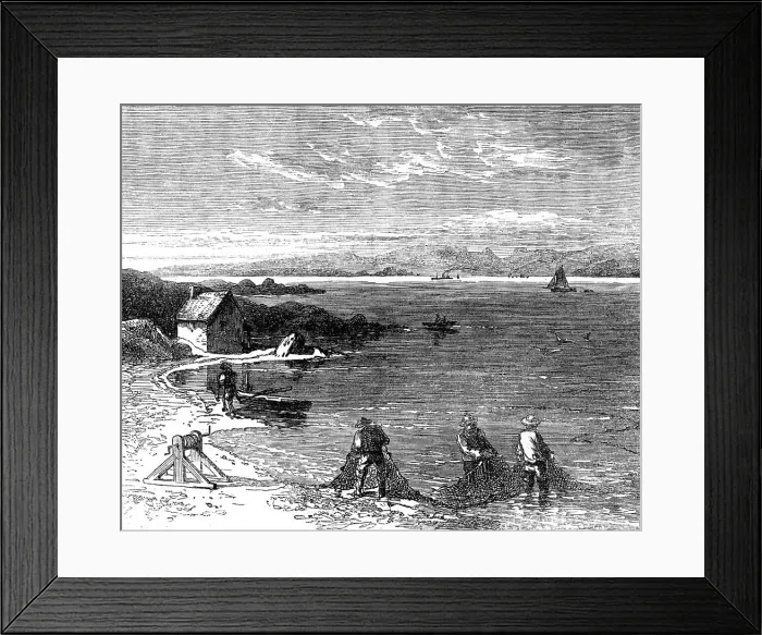 Framed Print : Salmon-fishing on the River Tay: drawing in, 1862. Creator: Unknown Framed Print : Salmon-fishing on the River Tay: drawing in, 1862. Creator: Unknown