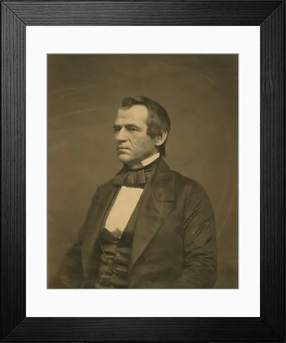 Framed Print : Andrew Johnson, half-length portrait, seated, facing left, 1860. Creator: Jesse Harrison Whitehurst Framed Print : Andrew Johnson, half-length portrait, seated, facing left, 1860. Creator: Jesse Harrison Whitehurst