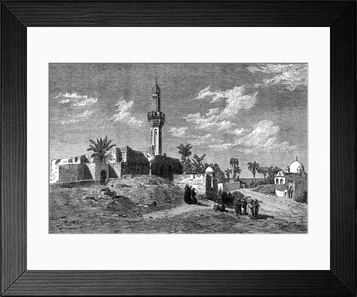 Framed Print : The Prince of Wales Visit to Egypt: Alexandria - from a drawing by Frank Dillon, 1862. Creator: Unknown Framed Print : The Prince of Wales Visit to Egypt: Alexandria - from a drawing by Frank Dillon, 1862. Creator: Unknown