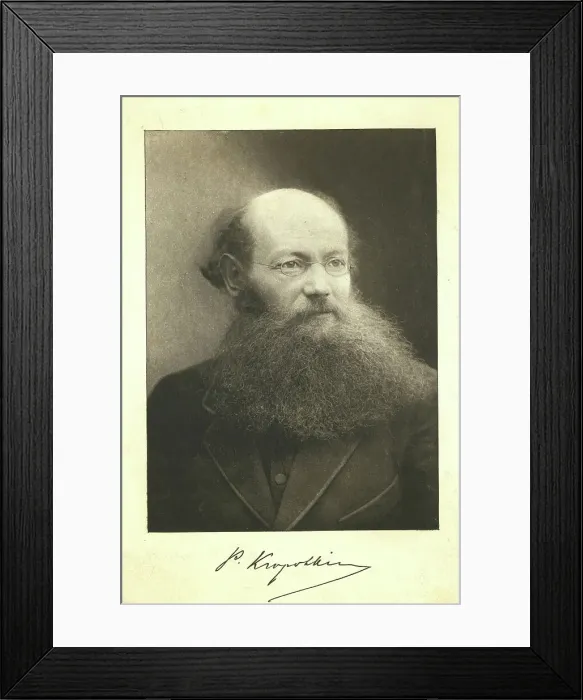 Framed Print : Petr Kropotkin, head-and-shoulders portrait, facing right, between 1890 and 1920. Creator: Unknown Framed Print : Petr Kropotkin, head-and-shoulders portrait, facing right, between 1890 and 1920. Creator: Unknown