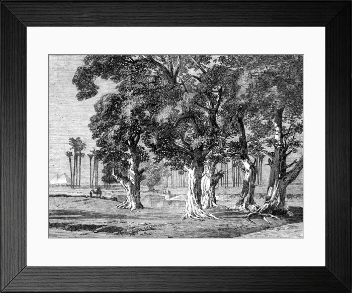 Framed Print : The Prince of Wales Visit to Egypt: Djizeh - from a drawing by Frank Dillon, 1862. Creator: Unknown Framed Print : The Prince of Wales Visit to Egypt: Djizeh - from a drawing by Frank Dillon, 1862. Creator: Unknown