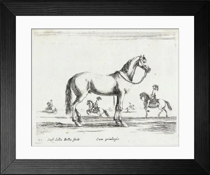 Framed Print : A Horse, 1641. Creator: Stefano della Bella Framed Print : A Horse, 1641. Creator: Stefano della Bella