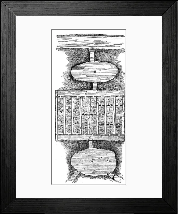 Framed Print : Pisciculture - ponds at home and abroad: salmon breeding-ponds, 1862. Creator: Unknown Framed Print : Pisciculture - ponds at home and abroad: salmon breeding-ponds, 1862. Creator: Unknown