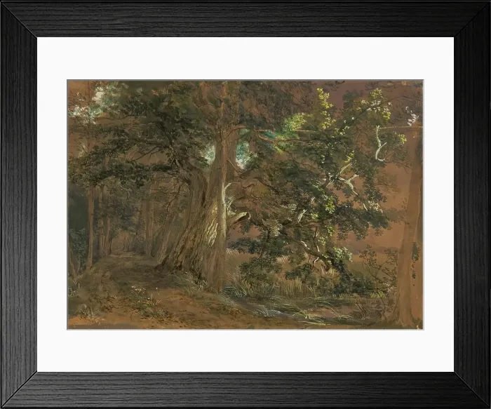 Framed Print : Forest interior near Lundenburg (maple group at a mountain lake), undated. Creator: Joseph Hoger Framed Print : Forest interior near Lundenburg (maple group at a mountain lake), undated. Creator: Joseph Hoger