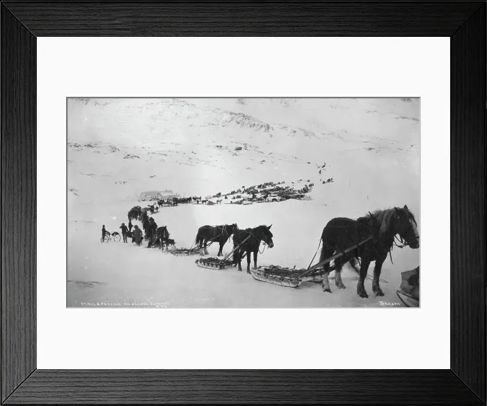 Framed Print : Transportation with horses, mules, dogs and bicycle, between c1900 and 1927. Creator: Unknown Framed Print : Transportation with horses, mules, dogs and bicycle, between c1900 and 1927. Creator: Unknown