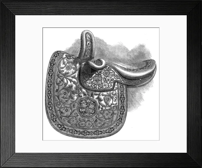 Framed Print : The International Exhibition: embroidered sidesaddle, by A. Davis, 1862. Creator: Unknown Framed Print : The International Exhibition: embroidered sidesaddle, by A. Davis, 1862. Creator: Unknown