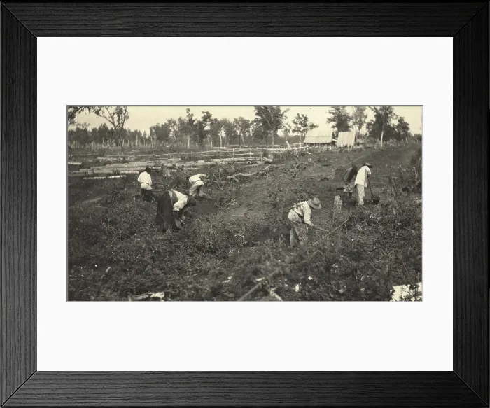 Framed Print : View of the road construction near the village of Practichi, 1909. Creator: Vladimir Ivanovich Fedorov Framed Print : View of the road construction near the village of Practichi, 1909. Creator: Vladimir Ivanovich Fedorov