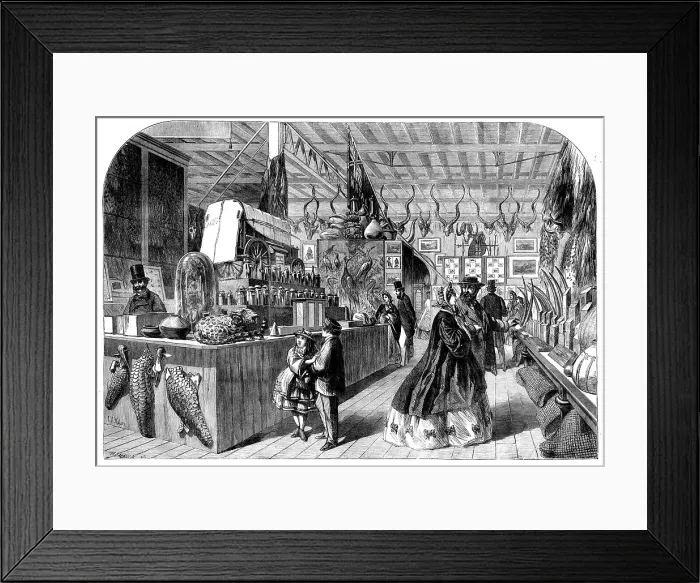 Framed Print : The International Exhibition - View in the Natal Court, 1862. Creator: Mason Jackson Framed Print : The International Exhibition - View in the Natal Court, 1862. Creator: Mason Jackson