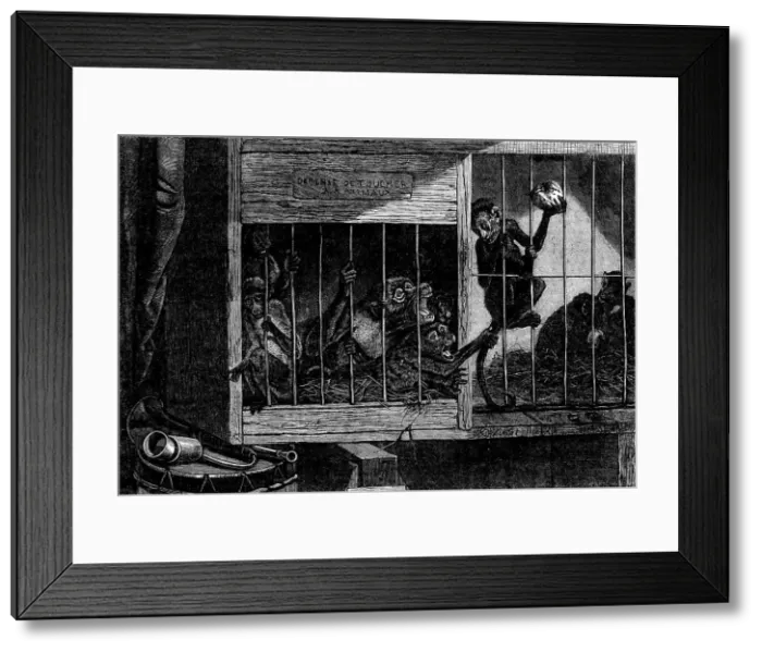 Framed Print : The International Exhibition - The Bad Neighbours, by C. Verlat, 1862. Creator: Unknown. The International Exhibition - The Bad Neighbours, by C. Verlat, 1862. Creator: Unknown Framed Print : The International Exhibition - The Bad Neighbours, by C. Verlat, 1862. Creator: Unknown. The International Exhibition - The Bad Neighbours, by C. Verlat, 1862. Creator: Unknown