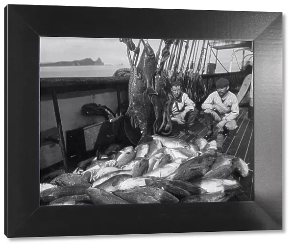 Fishing boat, cod and halibut, before 1927. Creator: Unknown