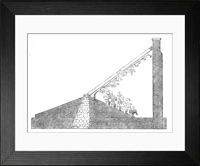 Framed Print : The International Exhibition: section of a Paxton lean-to vinery, 1862. Creator: Unknown Framed Print : The International Exhibition: section of a Paxton lean-to vinery, 1862. Creator: Unknown