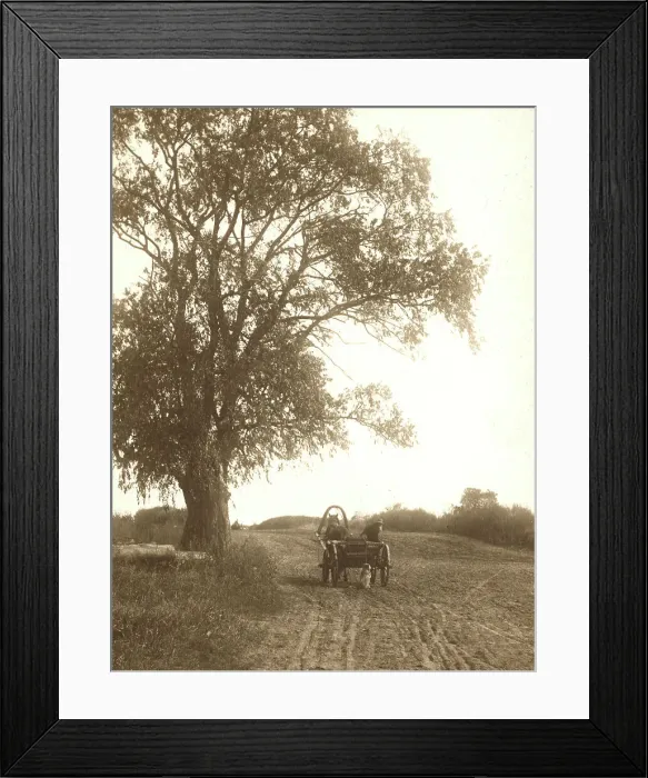 Framed Print : View of a country road near the Budunda Monastery, 1909. Creator: Vladimir Ivanovich Fedorov Framed Print : View of a country road near the Budunda Monastery, 1909. Creator: Vladimir Ivanovich Fedorov