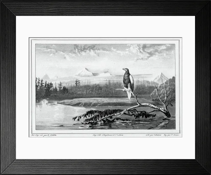 Framed Print : View of the Kamchatka River Kamchatka peninsula, 19th century. Creator: Friedrich Heinrich Kittlitz Framed Print : View of the Kamchatka River Kamchatka peninsula, 19th century. Creator: Friedrich Heinrich Kittlitz