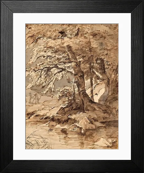 Framed Print : Tree study, undated. (c1850s) Creator: Friedrich Gauermann Framed Print : Tree study, undated. (c1850s) Creator: Friedrich Gauermann