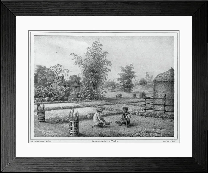 Framed Print : View of the Interior, Luzon Island, Philippines, 19th century. Creators: Friedrich Heinrich Kittlitz, Victor Adam, Godefroy Engelmann