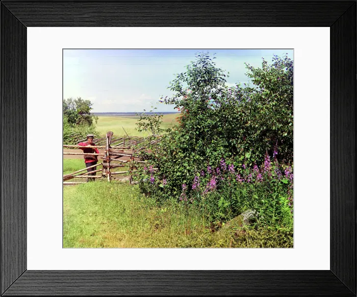 Framed Print : Man standing near fence and bushes, 1909. Creator: Sergey Mikhaylovich Prokudin-Gorsky Framed Print : Man standing near fence and bushes, 1909. Creator: Sergey Mikhaylovich Prokudin-Gorsky