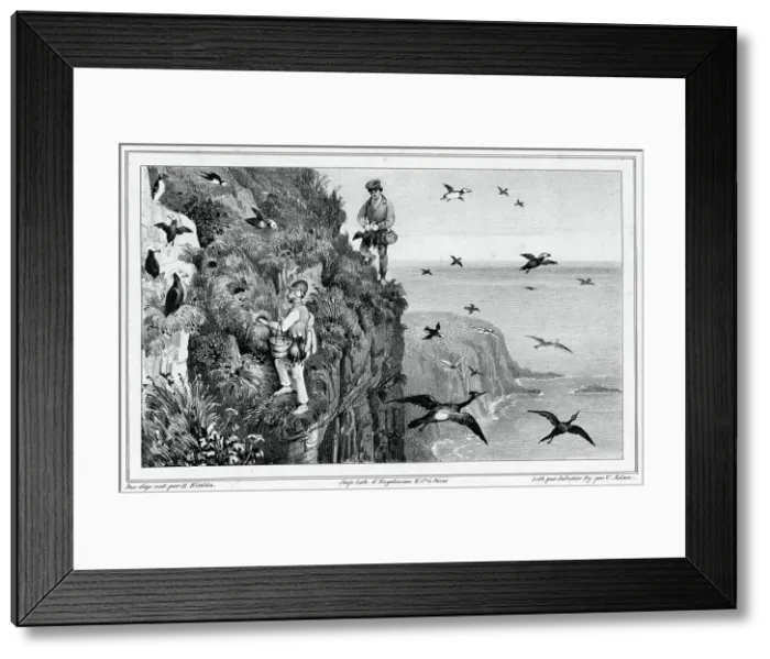Framed Print : Kamchatka, Hunting Puffins, 19th century. Creators: Friedrich Heinrich Kittlitz, Victor Adam, Godefroy Engelmann, Leon Jean-Baptiste Sabatier Framed Print : Kamchatka, Hunting Puffins, 19th century. Creators: Friedrich Heinrich Kittlitz, Victor Adam, Godefroy Engelmann, Leon Jean-Baptiste Sabatier