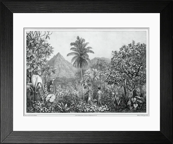 Framed Print : View of Kosrae Island, Caroline Islands, 19th century. Creators: Friedrich Heinrich Kittlitz, Godefroy Engelmann, Jules David Framed Print : View of Kosrae Island, Caroline Islands, 19th century. Creators: Friedrich Heinrich Kittlitz, Godefroy Engelmann, Jules David