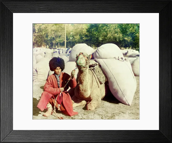 Framed Print : Man with camel loaded with packs, between 1905 and 1915. Creator: Sergey Mikhaylovich Prokudin-Gorsky Framed Print : Man with camel loaded with packs, between 1905 and 1915. Creator: Sergey Mikhaylovich Prokudin-Gorsky