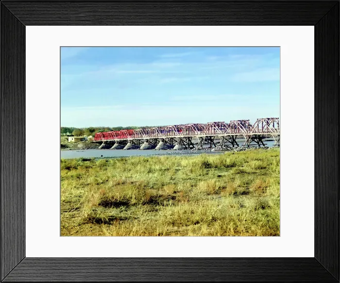 Framed Print : Bridge beyond the rapids, over the Syr-Darya from the right bank, Golodnaia... between 1905-1915. Creator: Sergey Mikhaylovich Prokudin-Gorsky Framed Print : Bridge beyond the rapids, over the Syr-Darya from the right bank, Golodnaia... between 1905-1915. Creator: Sergey Mikhaylovich Prokudin-Gorsky