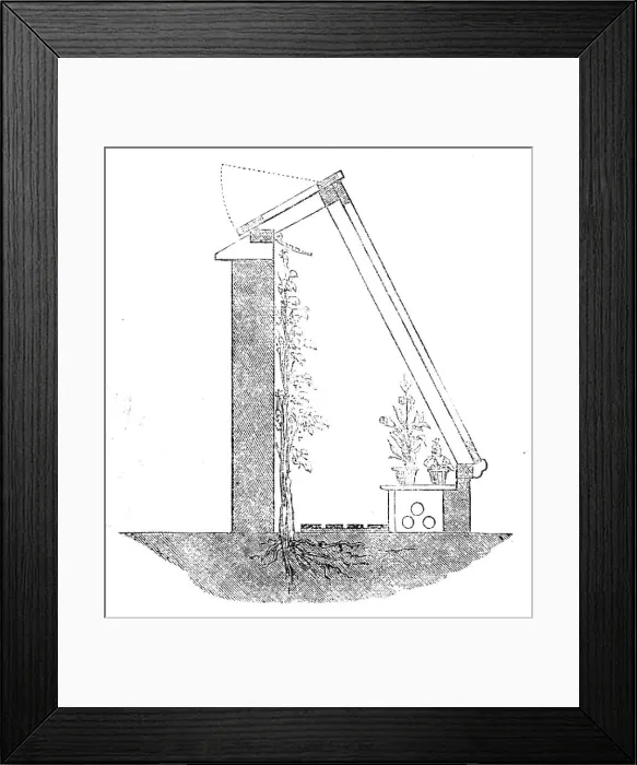 Framed Print : The International Exhibition: Weeks glass wall, 1862. Creator: Unknown Framed Print : The International Exhibition: Weeks glass wall, 1862. Creator: Unknown