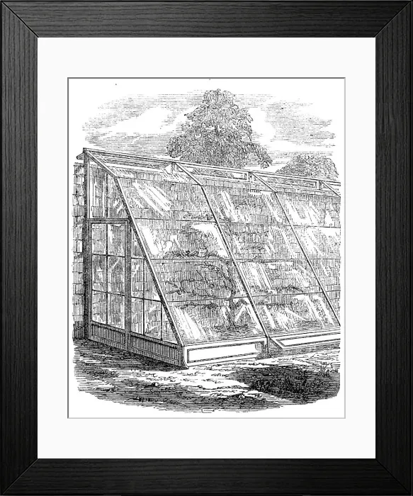 Framed Print : The International Exhibition: Scott's glass walls, 1862. Creator: Unknown Framed Print : The International Exhibition: Scott's glass walls, 1862. Creator: Unknown