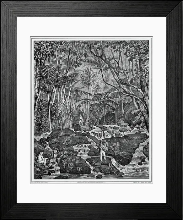Framed Print : View of the Interior of Peel Island, Bonin Islands, 19th century. Creators: Alexander Postels, Victor Adam, Godefroy Engelmann Framed Print : View of the Interior of Peel Island, Bonin Islands, 19th century. Creators: Alexander Postels, Victor Adam, Godefroy Engelmann