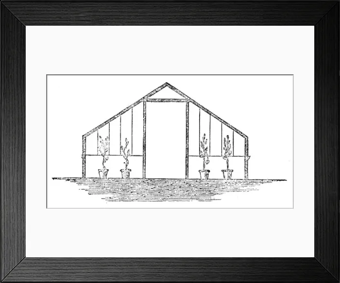 Framed Print : The International Exhibition: section of River's short-span glass orchard, 1862. Creator: Unknown Framed Print : The International Exhibition: section of River's short-span glass orchard, 1862. Creator: Unknown