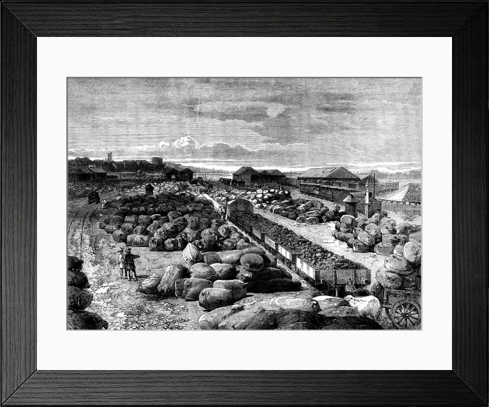 Framed Print : Cotton bales lying at the Bombay terminus of the Great Indian Peninsular Railway, 1862. Creator: Unknown Framed Print : Cotton bales lying at the Bombay terminus of the Great Indian Peninsular Railway, 1862. Creator: Unknown