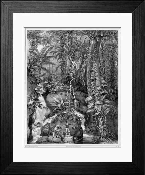 Framed Print : View of the Interior of Luzon Island, Philippine Islands, 19th century. Creators: Alexander Postels, Godefroy Engelmann Framed Print : View of the Interior of Luzon Island, Philippine Islands, 19th century. Creators: Alexander Postels, Godefroy Engelmann