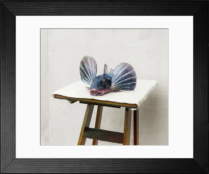 Framed Print : Triglolastochka, Batum, between 1905 and 1915. Creator: Sergey Mikhaylovich Prokudin-Gorsky