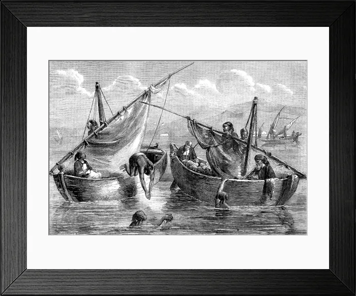 Framed Print : Diving for sponges on the coast of Syria, 1862. Creator: Unknown Framed Print : Diving for sponges on the coast of Syria, 1862. Creator: Unknown