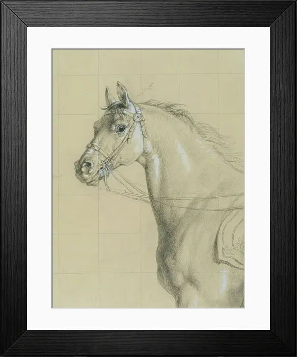 Framed Print : Horse study for Archduke Karl with his staff in the Battle of Aspern, before 1828. Creator: Johann Peter Krafft. Horse study for Archduke Karl with his staff in the Battle of Aspern, before 1828. Creator: Johann Peter Krafft Framed Print : Horse study for Archduke Karl with his staff in the Battle of Aspern, before 1828. Creator: Johann Peter Krafft. Horse study for Archduke Karl with his staff in the Battle of Aspern, before 1828. Creator: Johann Peter Krafft