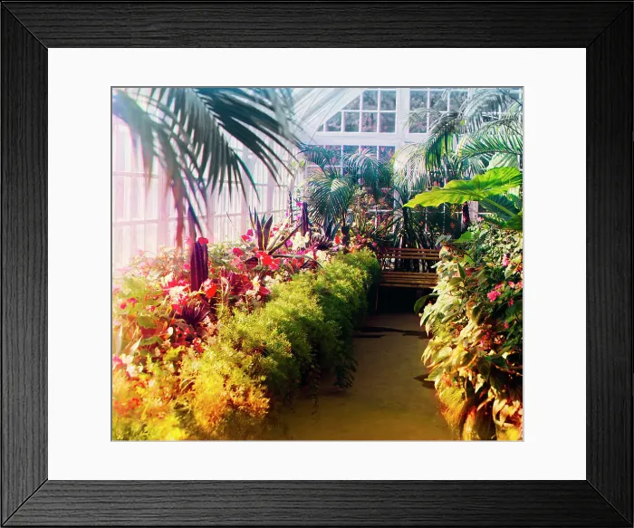 Framed Print : In a conservatory, between 1905 and 1915. Creator: Sergey Mikhaylovich Prokudin-Gorsky Framed Print : In a conservatory, between 1905 and 1915. Creator: Sergey Mikhaylovich Prokudin-Gorsky