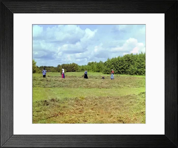 Framed Print : Haying [Russian Empire], 1909. Creator: Sergey Mikhaylovich Prokudin-Gorsky