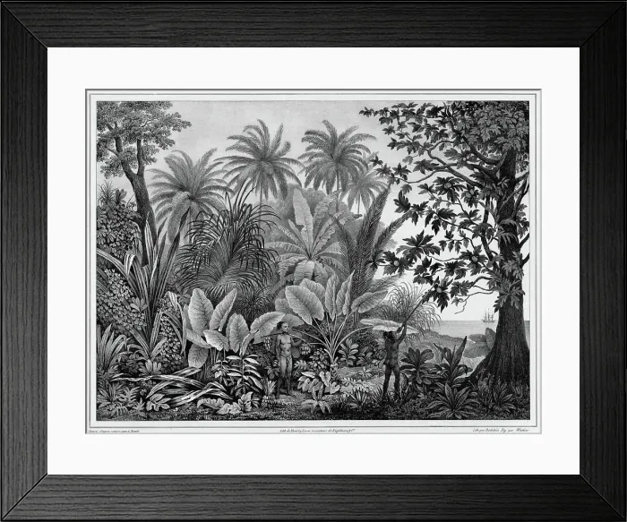 Framed Print : View of Lukunor Island, Lower Caroline Islands, 19th century. Creators: Alexander Postels, Godefroy Engelmann, Emile-Charles Wattier Framed Print : View of Lukunor Island, Lower Caroline Islands, 19th century. Creators: Alexander Postels, Godefroy Engelmann, Emile-Charles Wattier