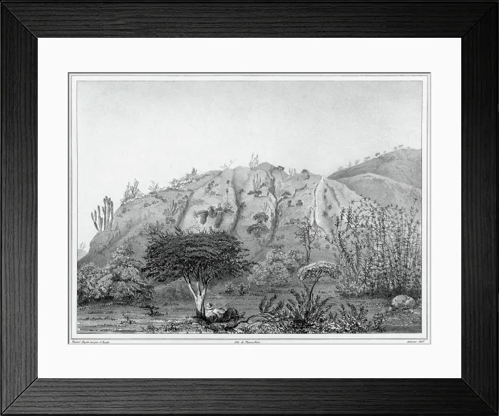 Framed Print : View of the Outskirts of Valparaiso, Chile, 19th century. Creators: Alexander Postels, Leon Jean-Baptiste Sabatier Framed Print : View of the Outskirts of Valparaiso, Chile, 19th century. Creators: Alexander Postels, Leon Jean-Baptiste Sabatier