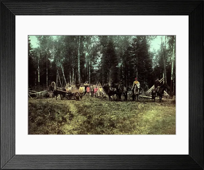 Framed Print : Group of Workers at the Zimov'evsko-Meshchaninovskaia Railroad, 1906-1908. Creator: Dorozhno-Stroitel'nyi Otdel Framed Print : Group of Workers at the Zimov'evsko-Meshchaninovskaia Railroad, 1906-1908. Creator: Dorozhno-Stroitel'nyi Otdel