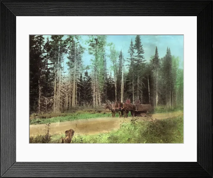 Framed Print : Roller for rolling road surfaces, 1906-1908. Creator: Dorozhno-Stroitel'nyi Otdel Framed Print : Roller for rolling road surfaces, 1906-1908. Creator: Dorozhno-Stroitel'nyi Otdel