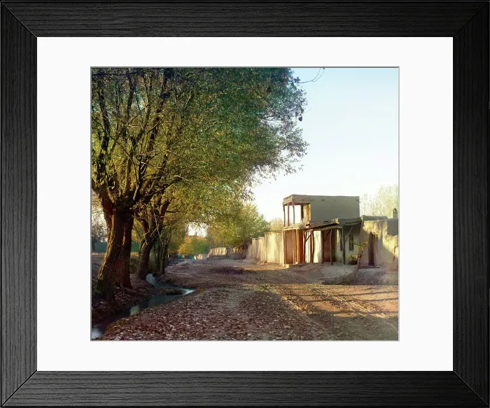 Framed Print : Cape Zelenyi: cluster of Japanese maples, orange trees in the foreground, between 1905 and 1915. Creator: Sergey Mikhaylovich Prokudin-Gorsky Framed Print : Cape Zelenyi: cluster of Japanese maples, orange trees in the foreground, between 1905 and 1915. Creator: Sergey Mikhaylovich Prokudin-Gorsky